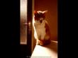 "1036886305$6HBUN6Q4FKMR83C7T637$9.jpg" © [a=http://www.sevensheaven.nl]Seven's Heaven[/a]