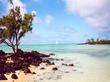 "Bucht der Ile aux Cerf, Mauritius"