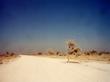 "Am westlichen Rand der Etoscha-Pfanne, Namibia"