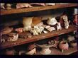 "Lamanai Museum: Pottery" © [a=http://mayaruins.com]Barbara A. McKenzie[/a]