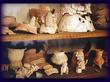"Lamanai Museum: Pottery" © [a=http://mayaruins.com]Barbara A. McKenzie[/a]