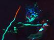 "1074510271$K1SJ74285A8HJM02E8R6$35.jpg" © Spiralbooking