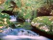 "Spring Water" © 