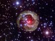 " Startling Star V838 Mon" © NASA