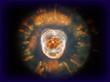 "Eskimo Nebula (Hubble)" &copy; NASA