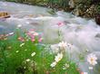 "Spring Water"