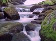 "Spring Water" &copy; 