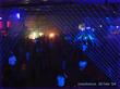 "party people" &copy; 